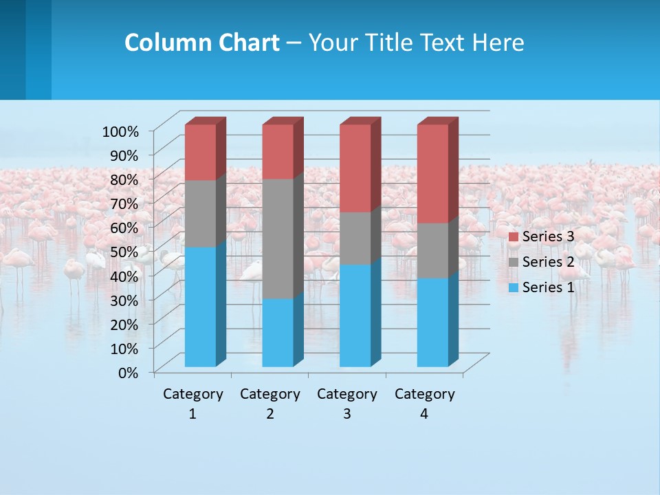 A Large Group Of Flamingos Standing In The Water PowerPoint Template