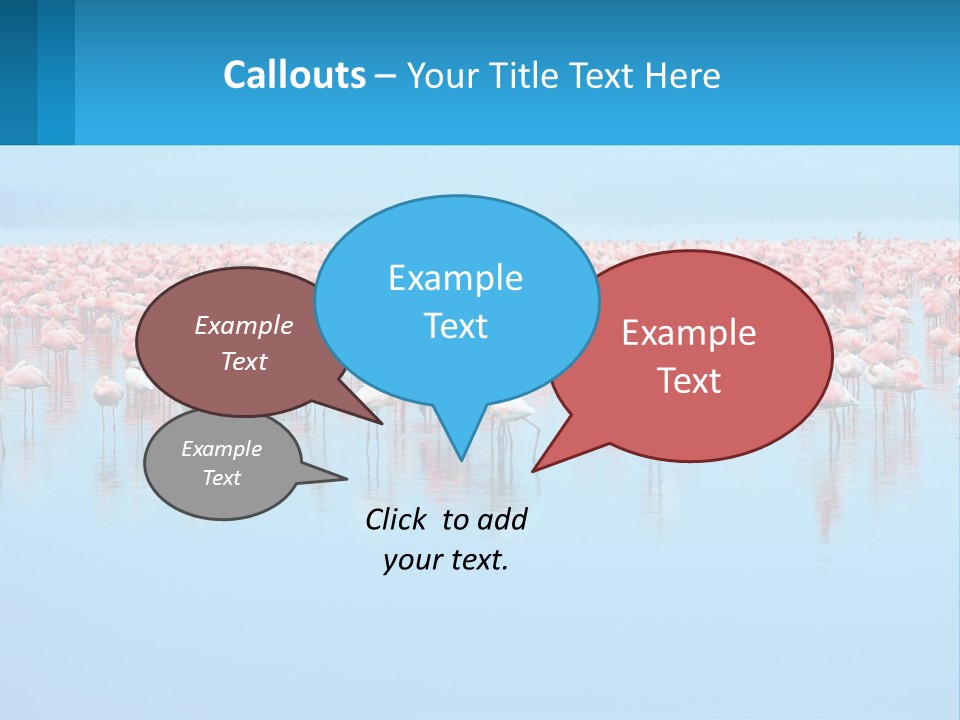 A Large Group Of Flamingos Standing In The Water PowerPoint Template