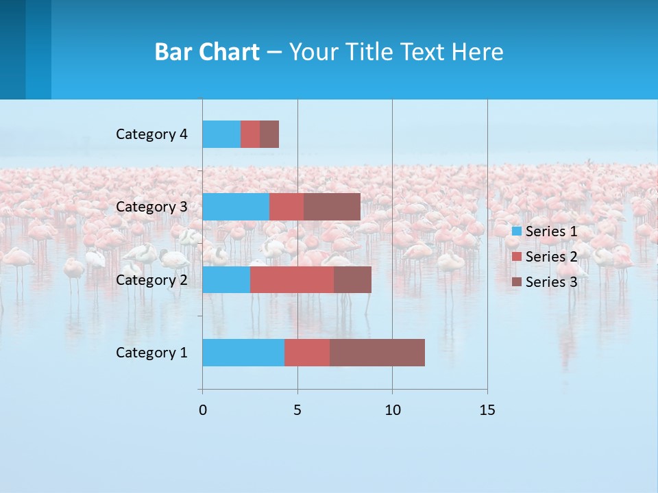 A Large Group Of Flamingos Standing In The Water PowerPoint Template