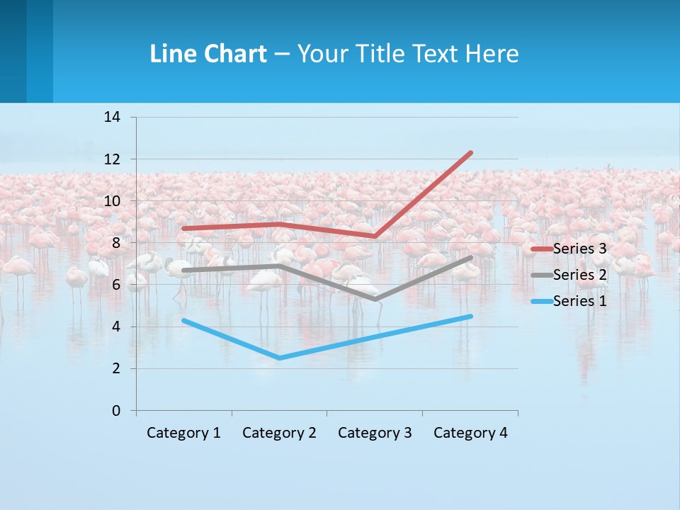 A Large Group Of Flamingos Standing In The Water PowerPoint Template