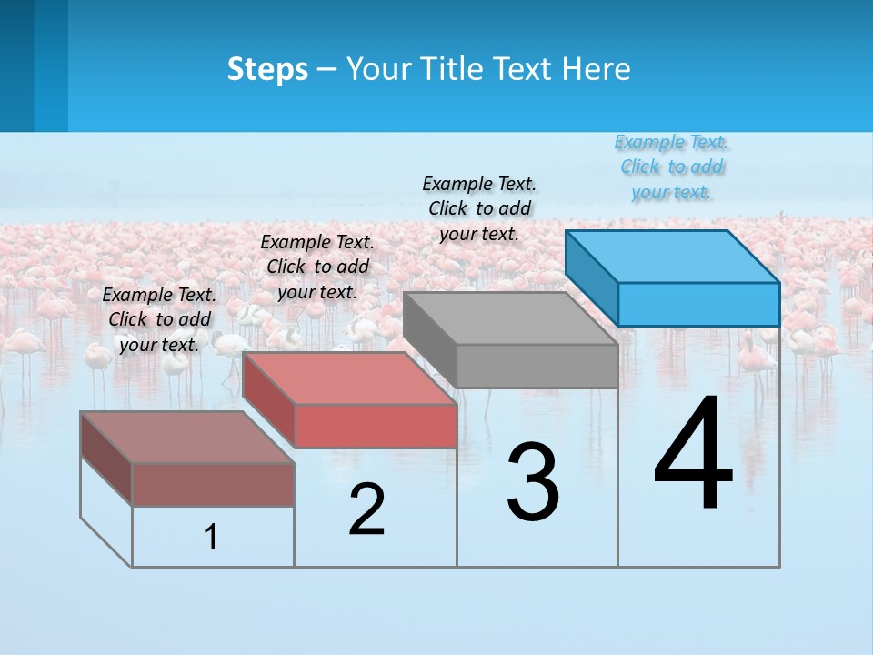 A Large Group Of Flamingos Standing In The Water PowerPoint Template