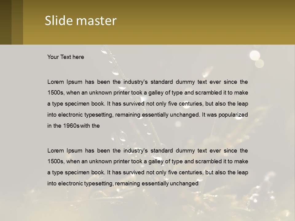 A Plant With Drops Of Water On It PowerPoint Template