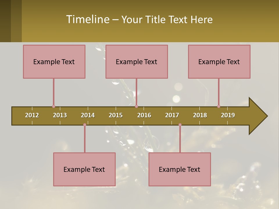 A Plant With Drops Of Water On It PowerPoint Template