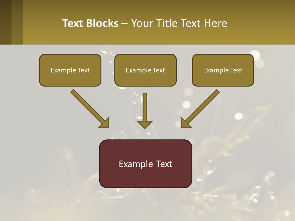 A Plant With Drops Of Water On It PowerPoint Template