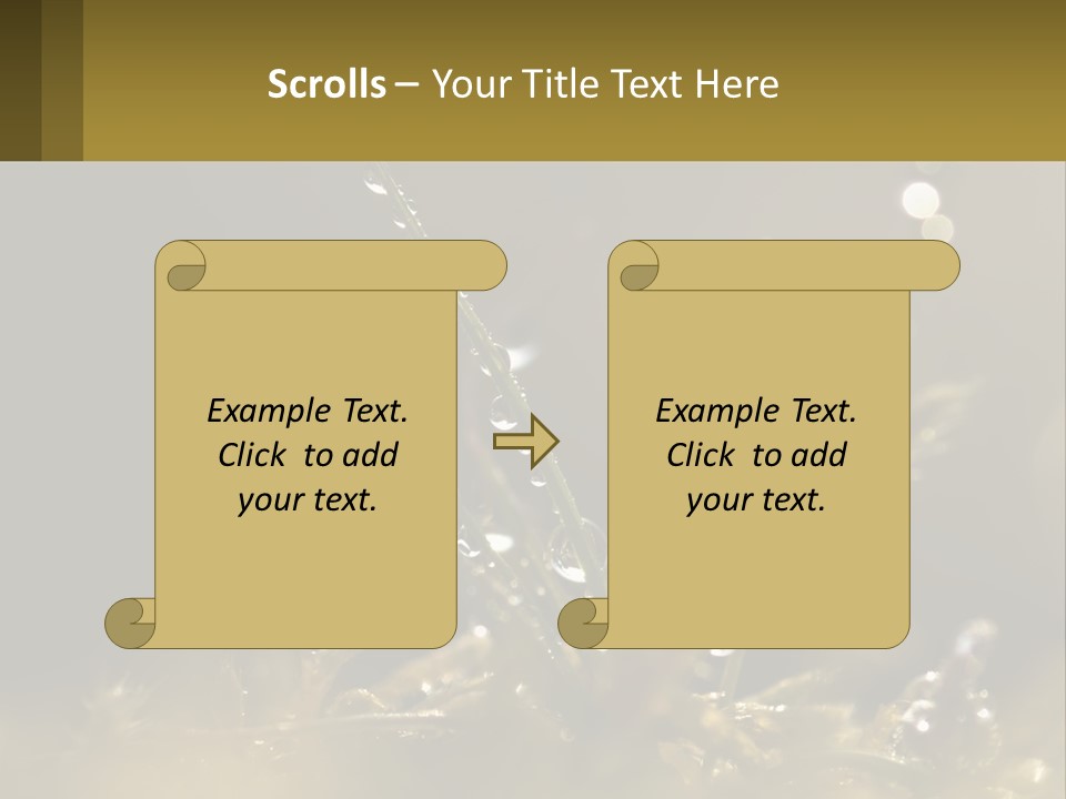 A Plant With Drops Of Water On It PowerPoint Template