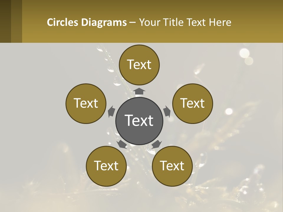 A Plant With Drops Of Water On It PowerPoint Template