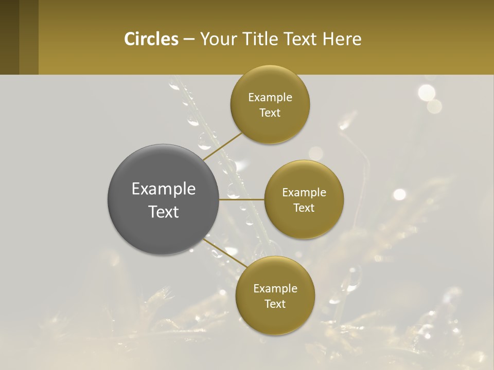 A Plant With Drops Of Water On It PowerPoint Template