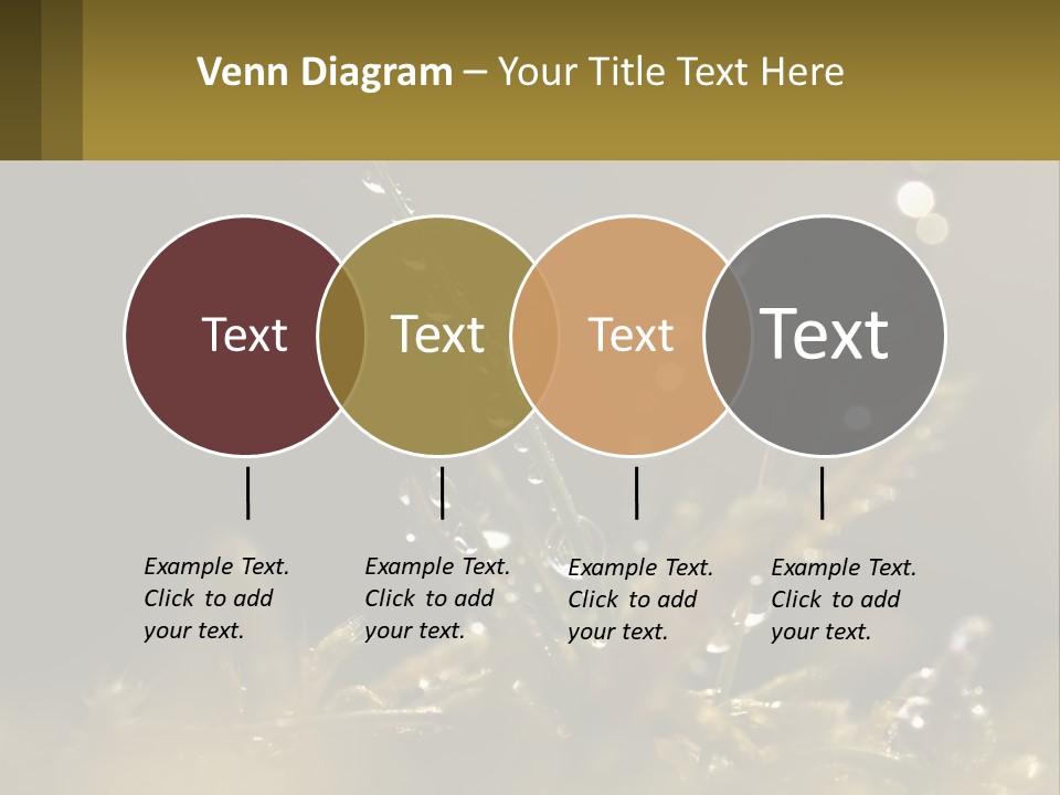 A Plant With Drops Of Water On It PowerPoint Template