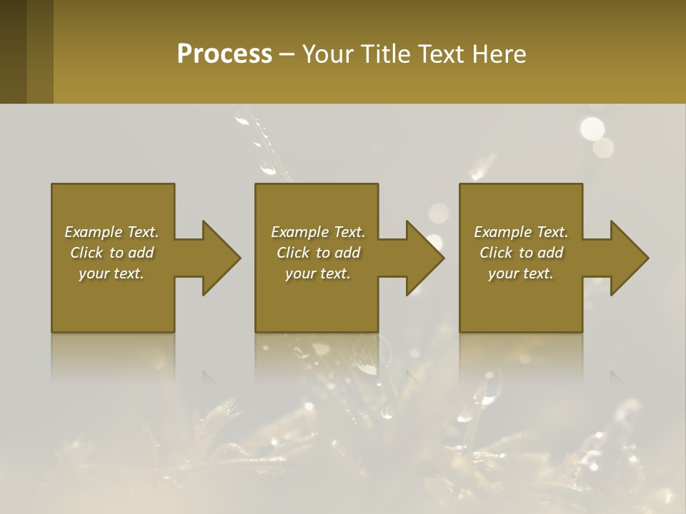A Plant With Drops Of Water On It PowerPoint Template