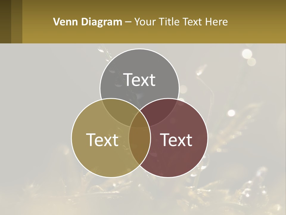 A Plant With Drops Of Water On It PowerPoint Template