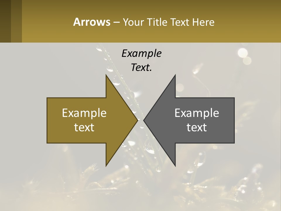 A Plant With Drops Of Water On It PowerPoint Template