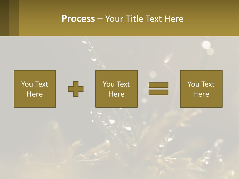 A Plant With Drops Of Water On It PowerPoint Template