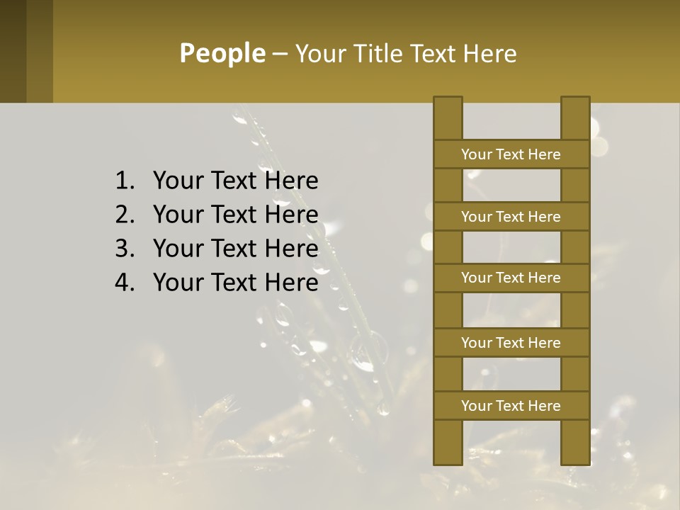 A Plant With Drops Of Water On It PowerPoint Template