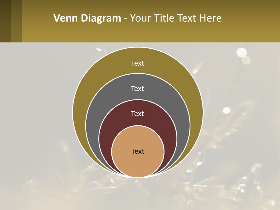 A Plant With Drops Of Water On It PowerPoint Template