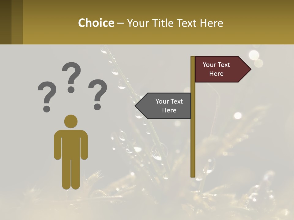 A Plant With Drops Of Water On It PowerPoint Template