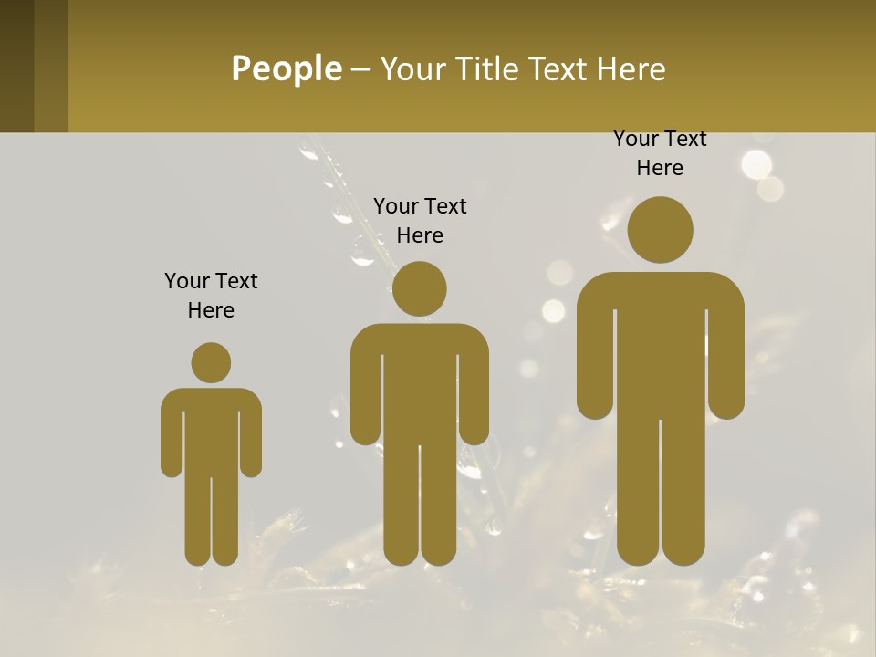 A Plant With Drops Of Water On It PowerPoint Template