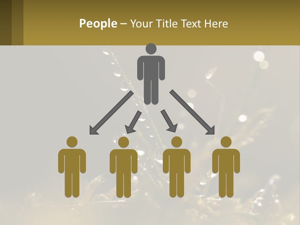 A Plant With Drops Of Water On It PowerPoint Template