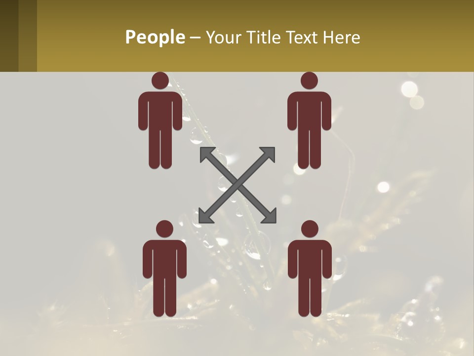 A Plant With Drops Of Water On It PowerPoint Template