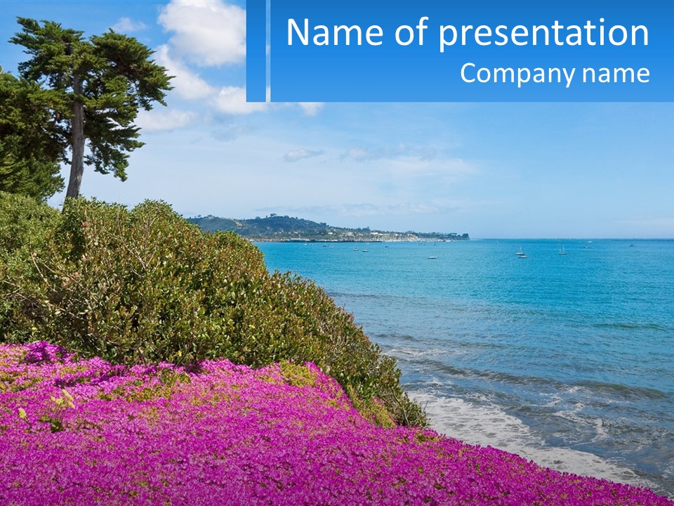 A Beautiful Blue Ocean With Purple Flowers In The Foreground PowerPoint Template