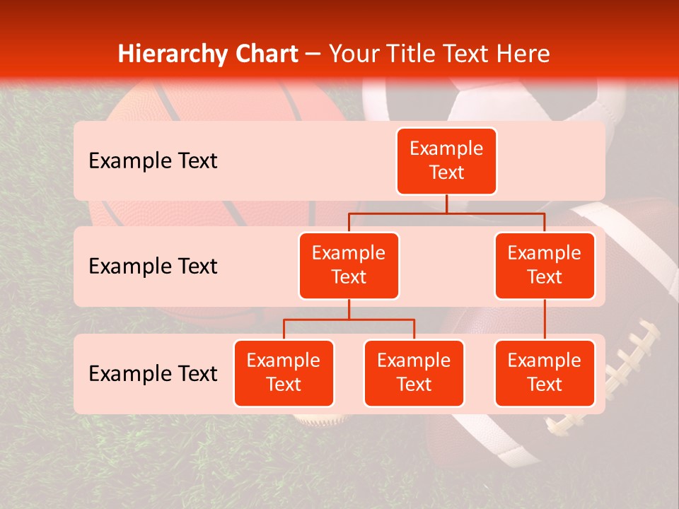 Three Sports Balls And A Basketball On The Grass PowerPoint Template