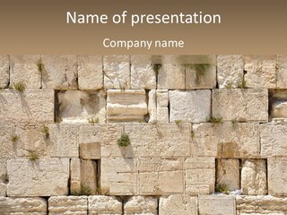 A Wall Of Stone Blocks With Plants Growing Out Of It PowerPoint Template
