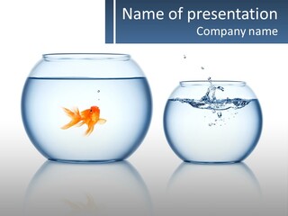 A Goldfish In A Bowl Of Water With A White Background PowerPoint Template