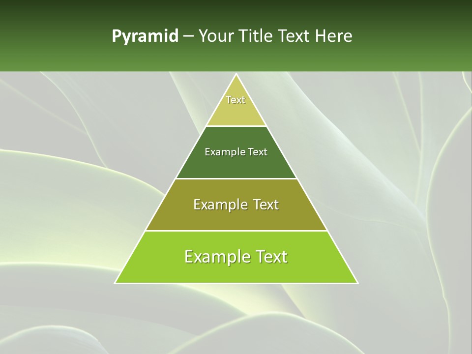 A Large Green Plant With Leaves On It PowerPoint Template