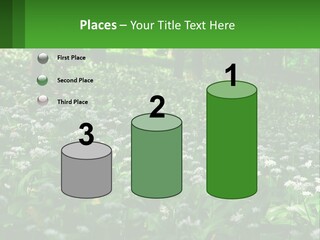 A Field Full Of White Flowers With Trees In The Background PowerPoint Template