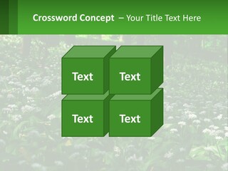 A Field Full Of White Flowers With Trees In The Background PowerPoint Template