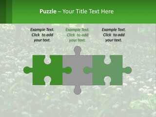 A Field Full Of White Flowers With Trees In The Background PowerPoint Template