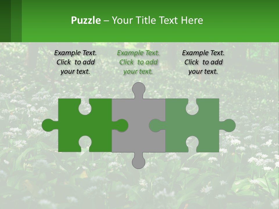 A Field Full Of White Flowers With Trees In The Background PowerPoint Template