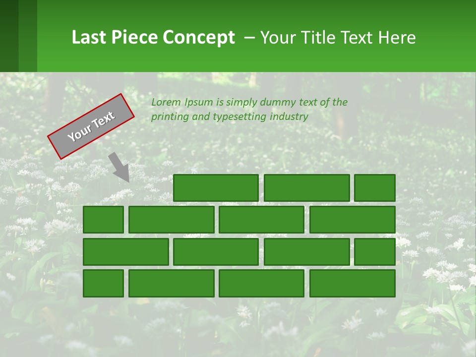 A Field Full Of White Flowers With Trees In The Background PowerPoint Template
