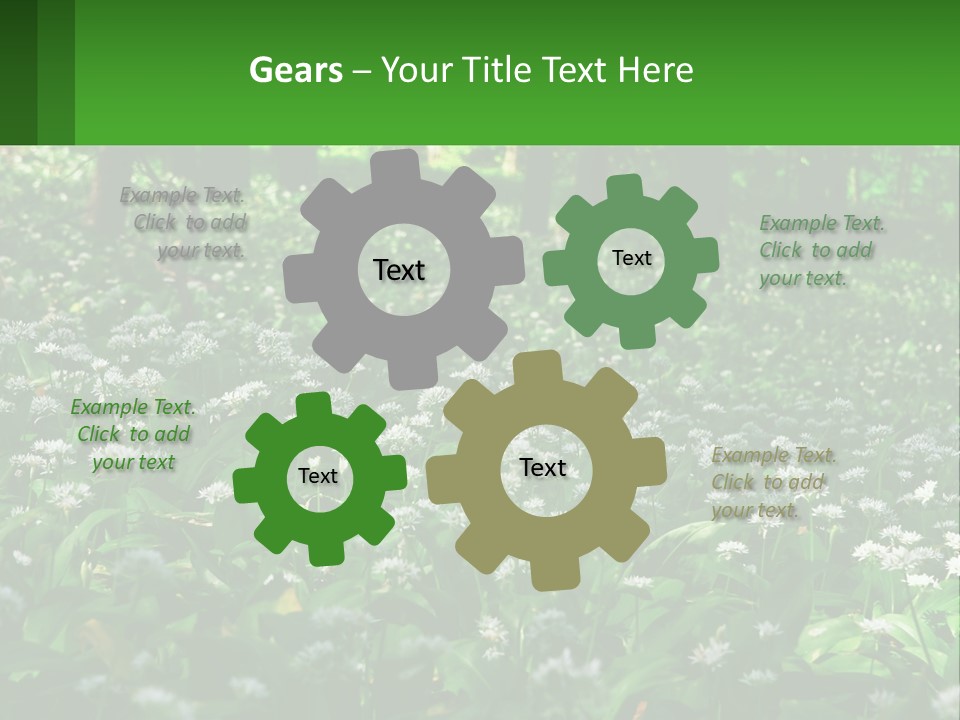 A Field Full Of White Flowers With Trees In The Background PowerPoint Template