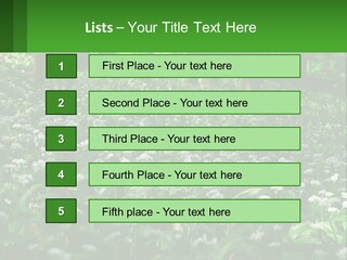 A Field Full Of White Flowers With Trees In The Background PowerPoint Template