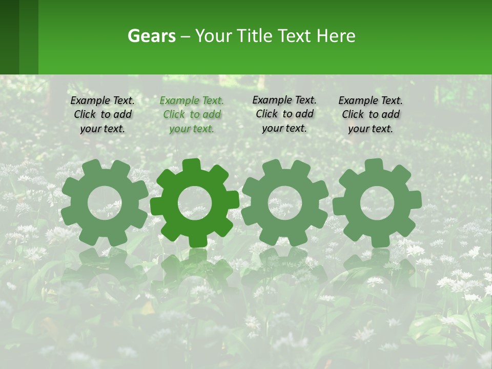 A Field Full Of White Flowers With Trees In The Background PowerPoint Template