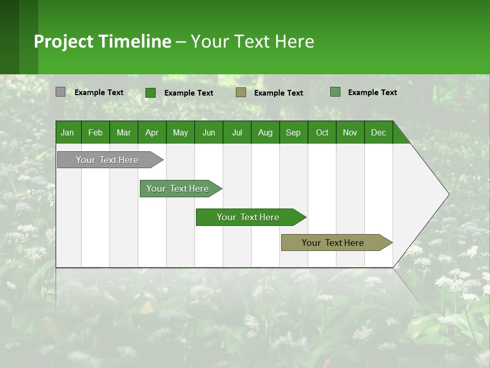 A Field Full Of White Flowers With Trees In The Background PowerPoint Template