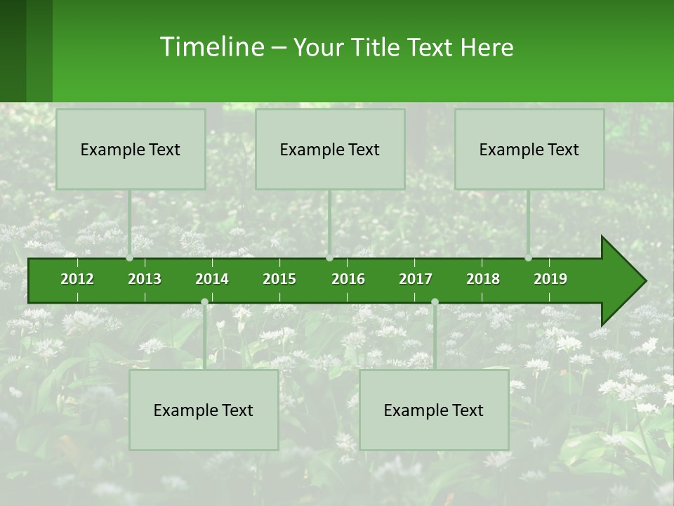 A Field Full Of White Flowers With Trees In The Background PowerPoint Template