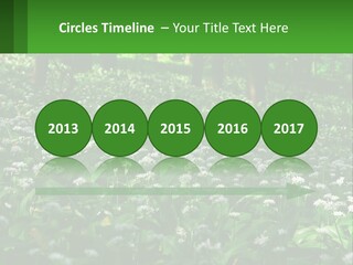 A Field Full Of White Flowers With Trees In The Background PowerPoint Template