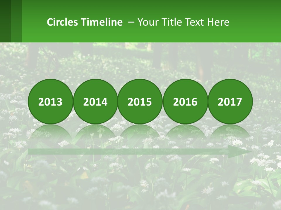 A Field Full Of White Flowers With Trees In The Background PowerPoint Template