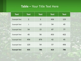 A Field Full Of White Flowers With Trees In The Background PowerPoint Template