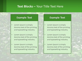 A Field Full Of White Flowers With Trees In The Background PowerPoint Template