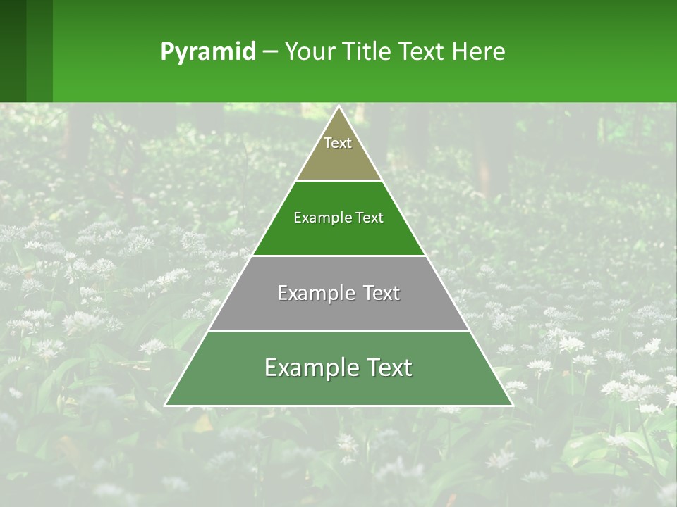 A Field Full Of White Flowers With Trees In The Background PowerPoint Template