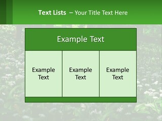 A Field Full Of White Flowers With Trees In The Background PowerPoint Template