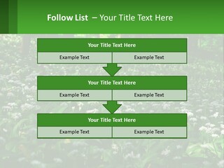 A Field Full Of White Flowers With Trees In The Background PowerPoint Template