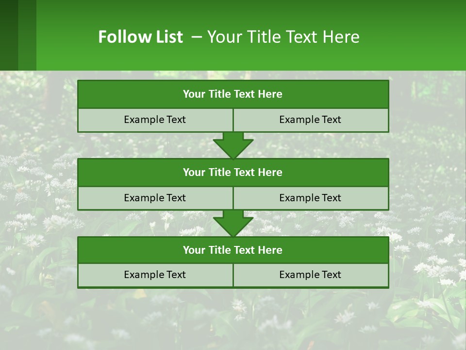 A Field Full Of White Flowers With Trees In The Background PowerPoint Template