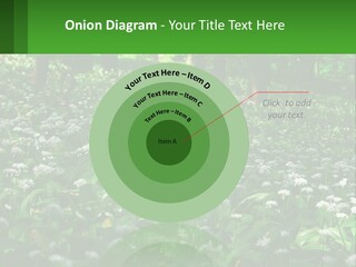 A Field Full Of White Flowers With Trees In The Background PowerPoint Template