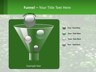 A Field Full Of White Flowers With Trees In The Background PowerPoint Template