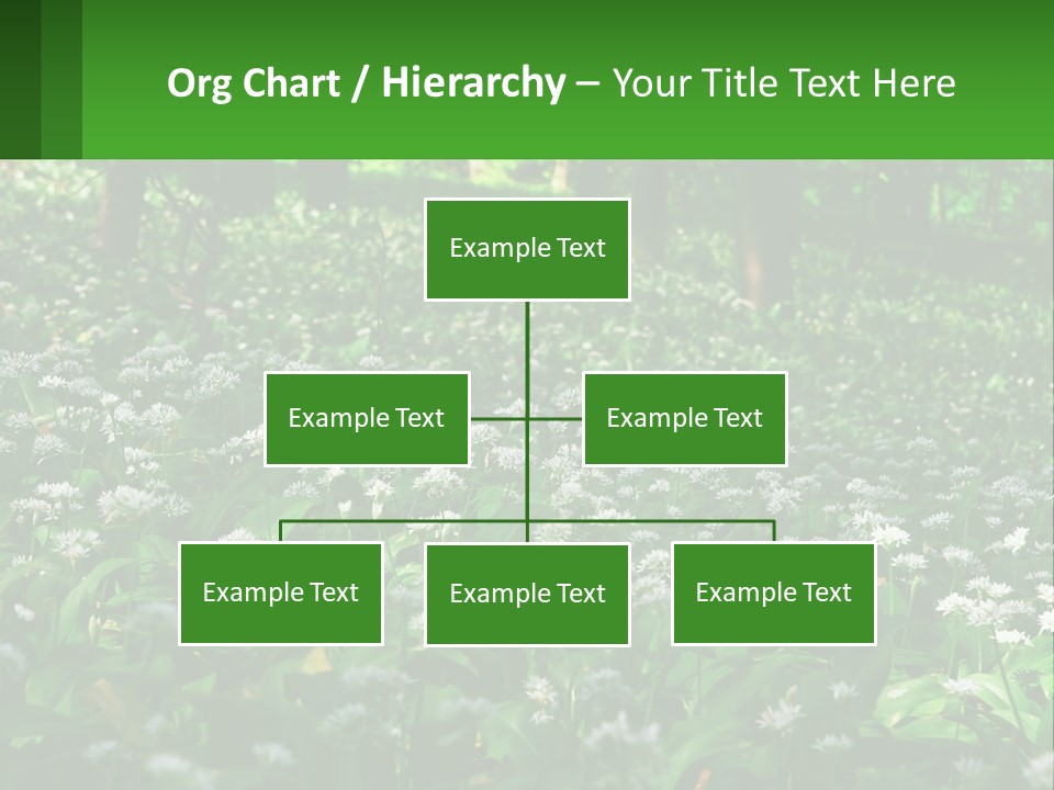 A Field Full Of White Flowers With Trees In The Background PowerPoint Template