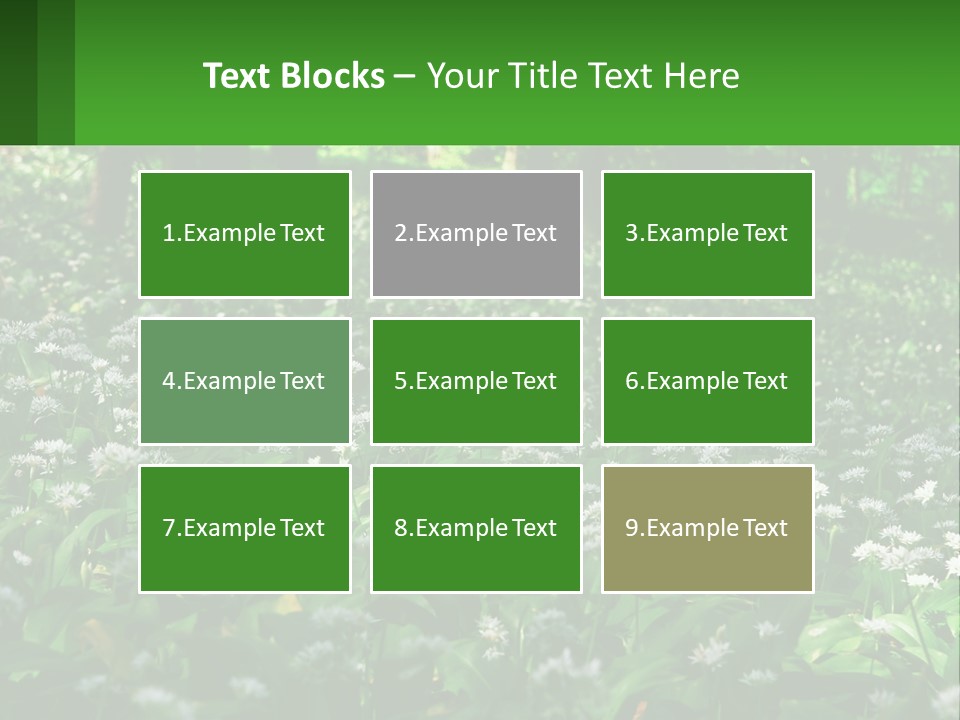 A Field Full Of White Flowers With Trees In The Background PowerPoint Template