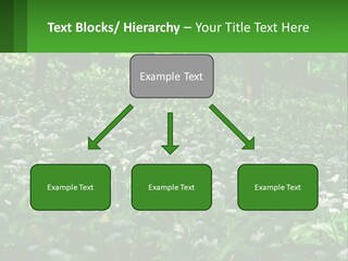 A Field Full Of White Flowers With Trees In The Background PowerPoint Template